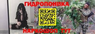 индика Обнинск