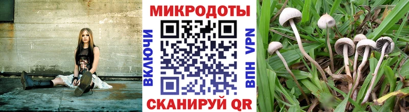 Псилоцибиновые грибы GOLDEN TEACHER  цены   Пушкино 