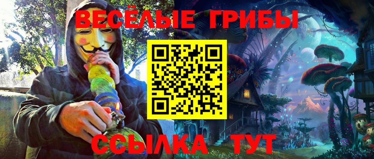 сколько стоит  Вход с VPN  Пушкино  Псилоцибиновые грибы ЛСД 