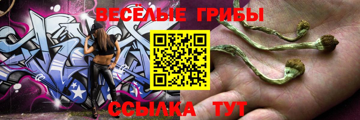Галлюциногенные грибы Psilocybine cubensis Пушкино